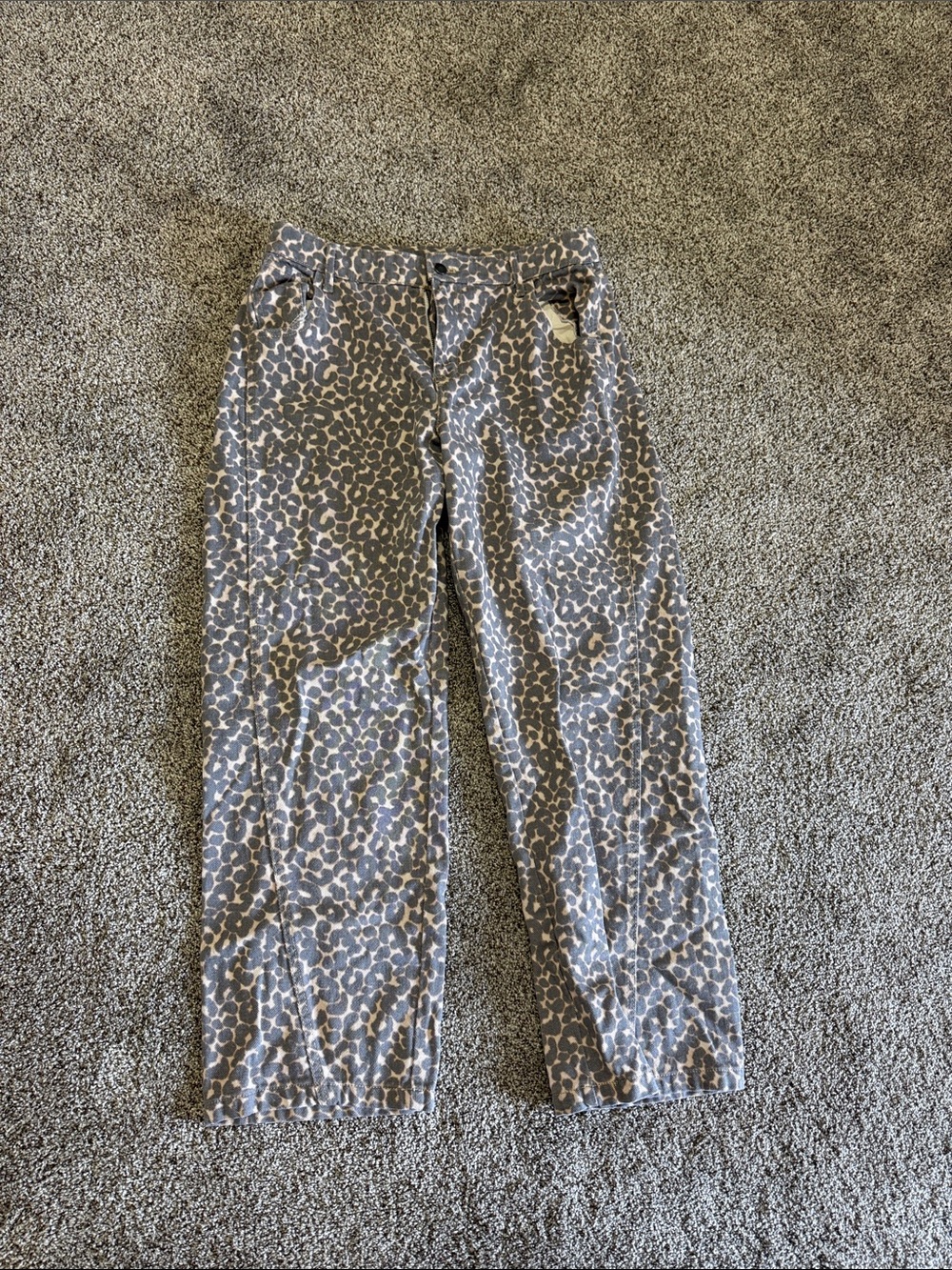 WILD FABLE  Leopard Print Pants